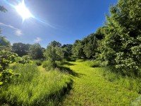 Hauptbild Seltenes Parkgrundstück mit historischem Gutshaus - Hier ist Platz für Ihre Ideen....